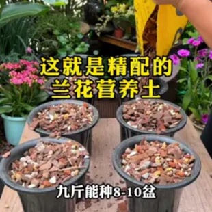 �m����ֲ�ϠI�B�������m�����m�Nֲ�w�����ɘ�Ƥ����