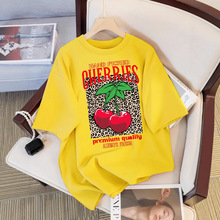 ��ժ�������h���rӡ��T���ވA�I�����·���ɫ�������e�\������