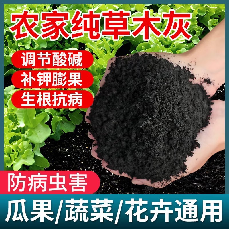 [현재 소성, 판매] 우드 그레이 5kg