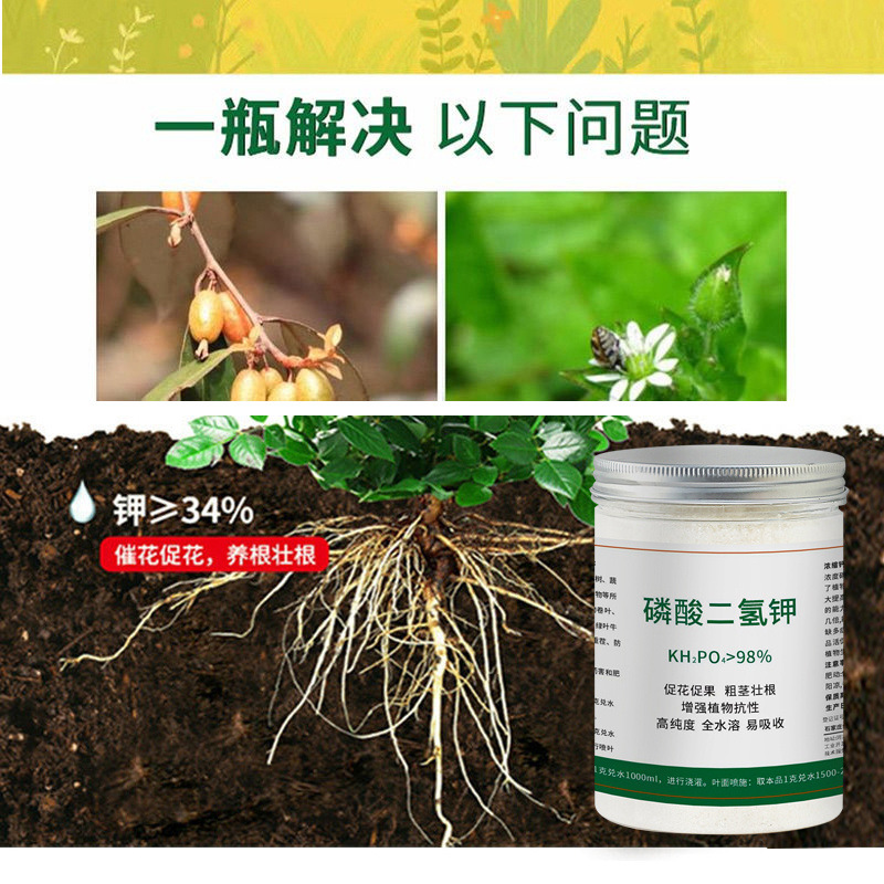 e926ad38-ad22-46b5-a773-41937468eaf5.jpe