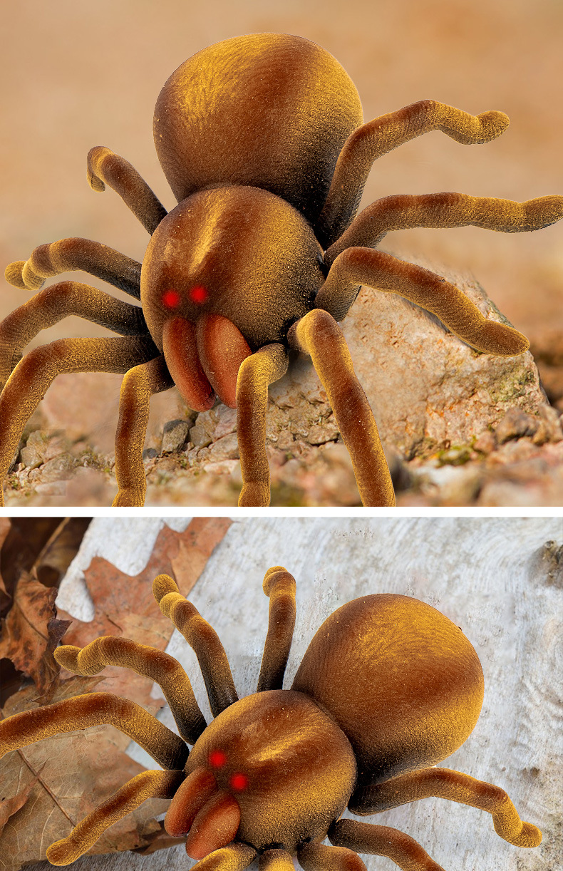 O1CN019n7PPi1WrgQvC8Avb_!!2350212842-0-cib.jpg?__r__=1676771743737