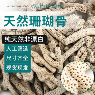 Aquarium Filter Material Coral Bone Ceramic Ring Volcanic Stone Bacterial House Filter Material Aquarium Landscape Decoration Base Sand Free Shipping