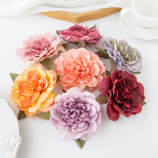 �羳����õ�廨�^ĵ�����^��c�������T�ٻ��ֹ�DIY���������b�