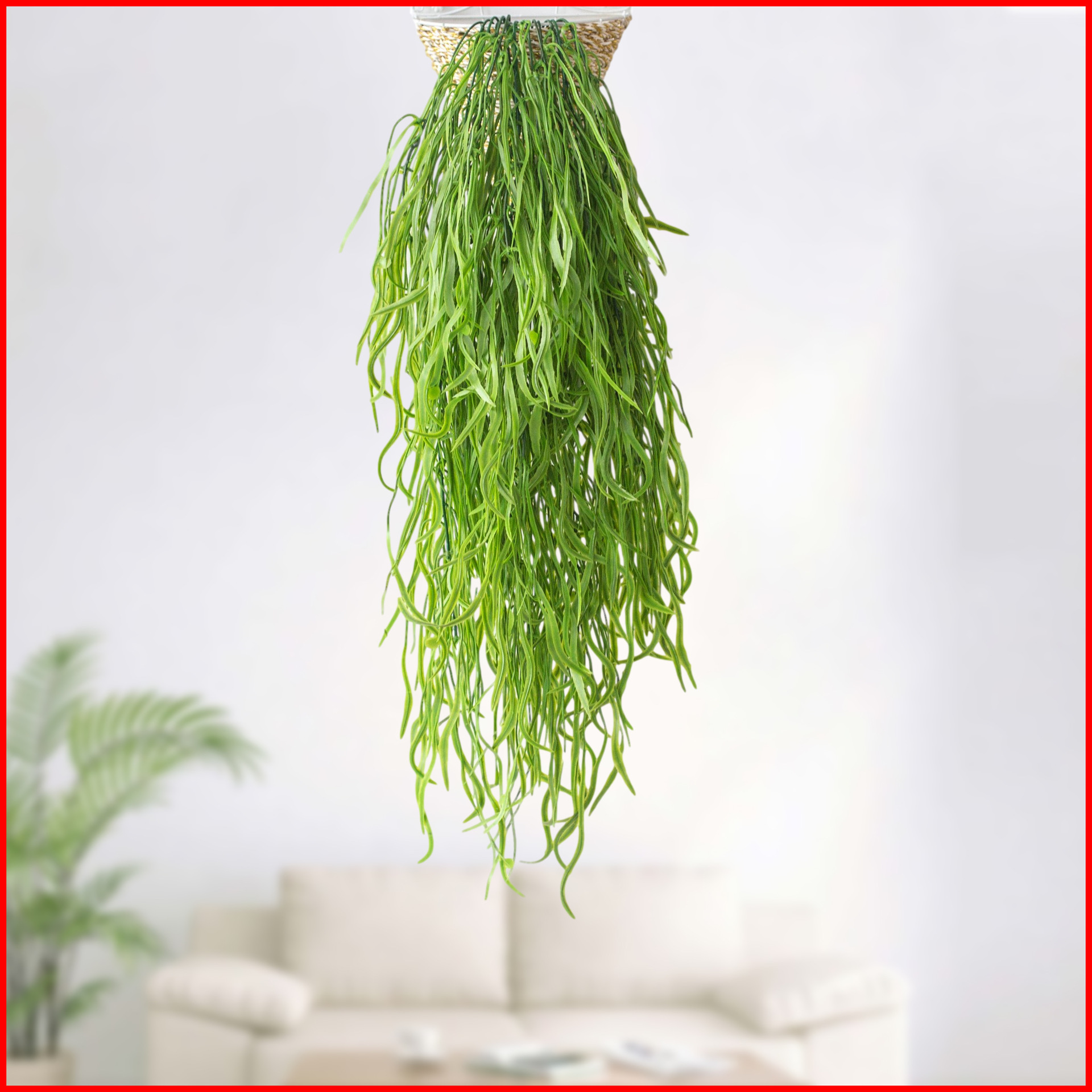 仿真69目海带藤条 家居拍摄布景 扁草壁挂塑料 植物墙配材