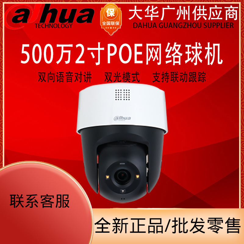 大华500万高清POE网络球机云台摄像机声光警戒DH-SD2500-ADP-PV-i