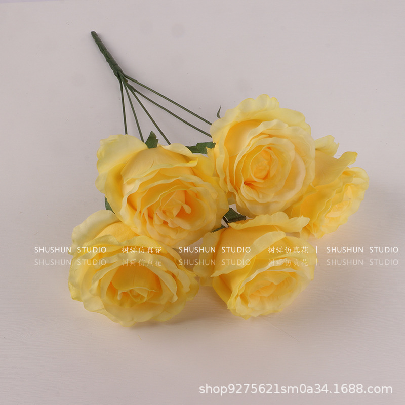 안나 장미의 무리를 넣어-다섯 꽃 머리