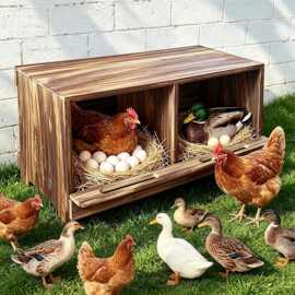 跨境实木鸡窝产蛋箱 户外悬挂鸭巢 nesting box 防腐木质家禽窝摆