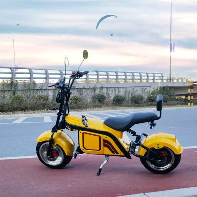 Wide-Tire Motorcycle, Elektrikli motosikletlər