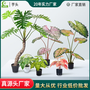 �������Gֲ�쾰�������ˮ��ϲ����͏d���Ԕ[����ֲ�����l