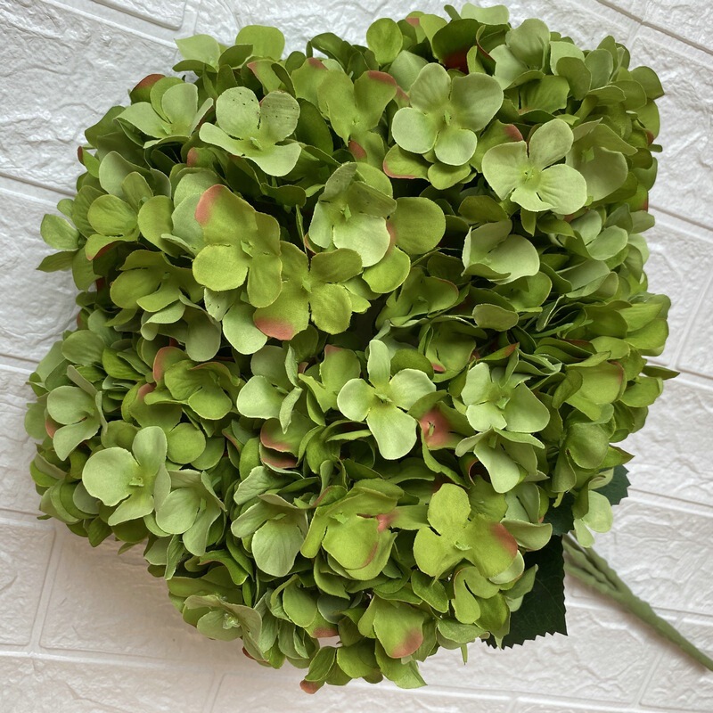 毛布5頭のフランスのアジサイは、ホテルの結婚式の生け花を飾って多色のアジサイの花の花束を卸売りします。|undefined