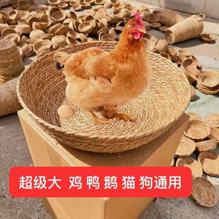 �Ӵ�̖��ĸ�u�θC���C�����C �������Ӻ��m�i�J���u�C  �r��e
