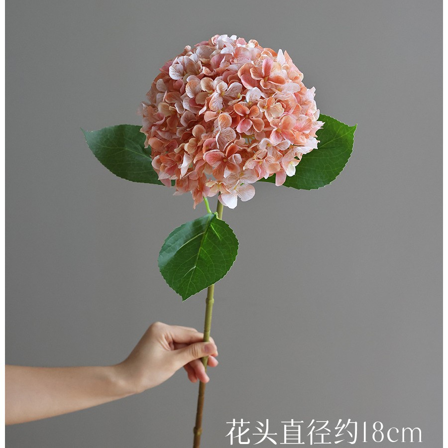 가을빛 오렌지