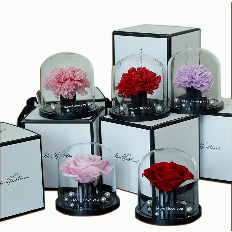 Regalo del Día de la Madre, cúpula de cristal con clavel, rosa del Principito, flor seca, regalo de cumpleaños, adorno, flor real, flor eterna
