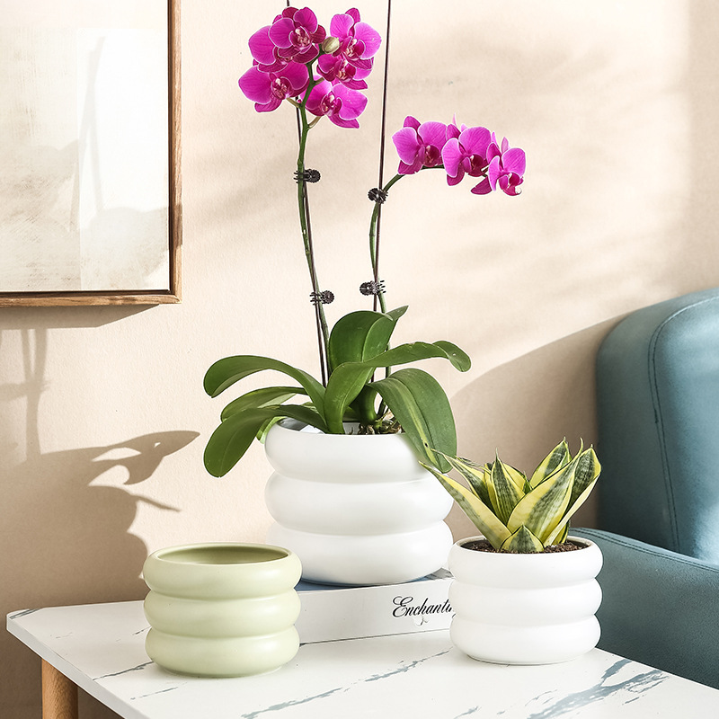 Nordic creative simple IN ceramic flower pot home furnishings Morandi color succulent green plant orchid flower pot container