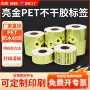 定制空白防水pet标签