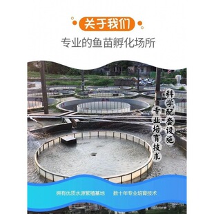 �a�~�N��ˮ�����~�~����~�����~���~�~�~����^���������l����