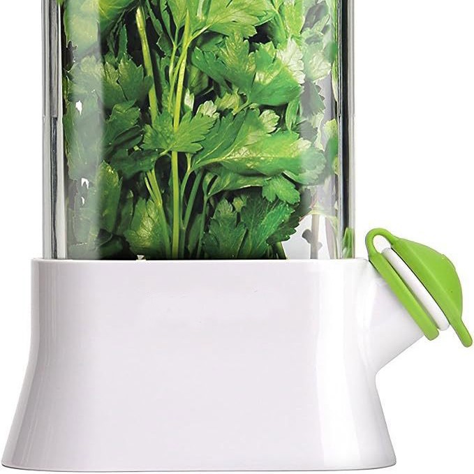 Caja de conservación de vegetales de vainilla transfronteriza anti-compresión malos conservadores ambientales creativos fabricantes de tazas de conservación de cilantro al por mayor