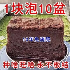 大きなココナッツレンガ栄養土養花通用型脱塩ココナッツ糠ココナッツ土壌種菜粗ココナッツ殻亀冬眠栽培