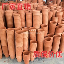 �t������������Gֲ͸�⻨���մ���ʽ����ֲ���m��