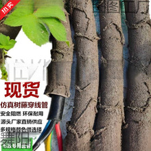 ���ϸɘ�֦늾����@��ľ���ٗl�bܷ�Ƥ������Ę��ٴ�����