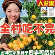 Sĸ߮a˅яSlrͥԺˈ@ɫˮ߲ҰȻ