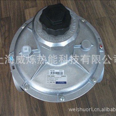 供应FRS507德国DUNGS冬斯燃气过滤器/燃气调压阀型号齐全