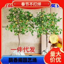 �������󗗳����������ϱ���մ��������䰫���޽��糬���ش�̖