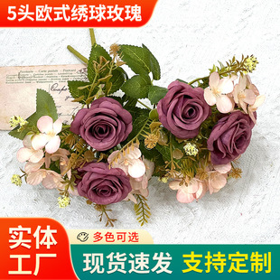 5�^�Wʽ����õ��ٻ���c�b���������ɻ������ҾӲ������
