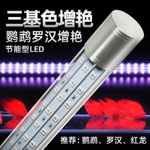 ����LED�~�ן���ˮ��ˮˮ�����������t���W�^�����_�h������ɫ