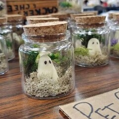 国境を越えた爆金瓶の幽霊ペット鬼Pet Ghost in Bottle工場直販