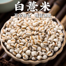 *��Ҏ���Rȫ����޲��С޲������޲������t��޲����������s�Z��*