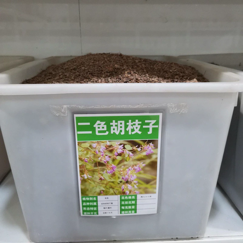 Lespedeza двухцветные семена лесных деревьев Семена домашних оптом Four Seasons многолетние Ландшафтные озеленение проект семена листвы