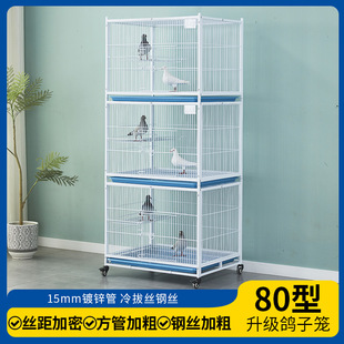 80�L�¿�������ӻ\���������ȸ���\�䌦�\�^��\�����������ӻ\