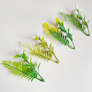 ֲ13cmPβ rcY~쾰ˮl