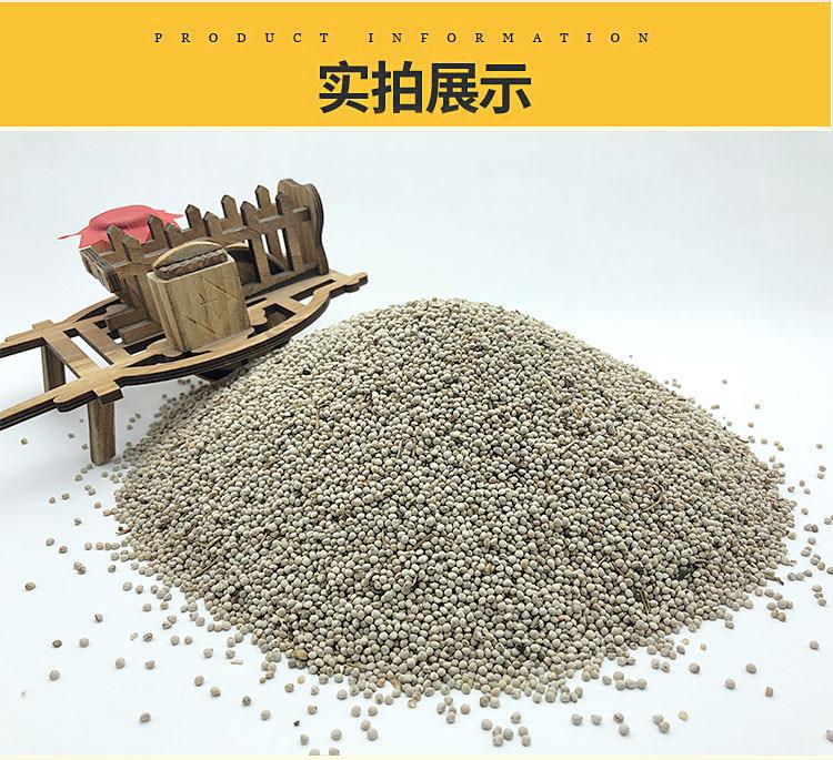 White Perilla Seed Bai Su Zi 500g Dried Perilla frutescens Seeds for Traditional Herbal Decoctions quality and texture
