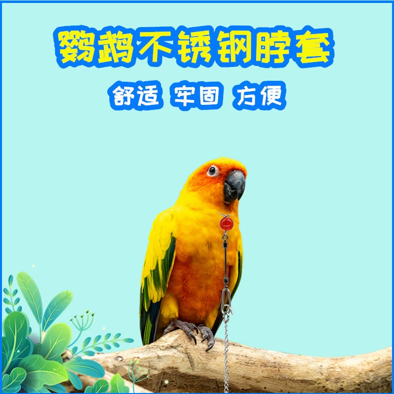 Попугай Шея Птица Шея Тигр Шкура Пион из нержавеющей стали