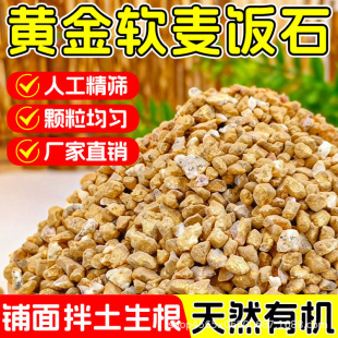 �S��ܛ���ʯ�w�����⌣�àI�B�����Nֲ�B�����Լ��w��ͨ�����ʯ