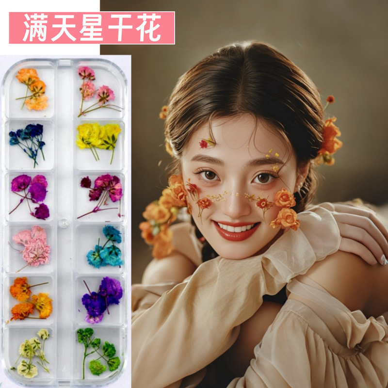 New 12-color Gypsophila Dried Flower Natural Flower Nail Art Face Sticker Natural Flower Fairy Makeup Daisy Eye Makeup