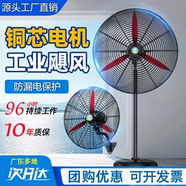 大功率风扇;电风扇;吊扇