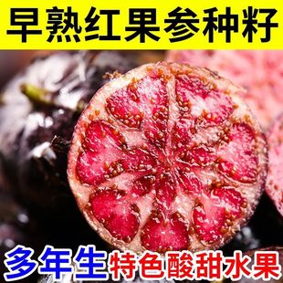 ��ϼt�����N������������N����Y��֩�����ɫ����ˮ���·N��