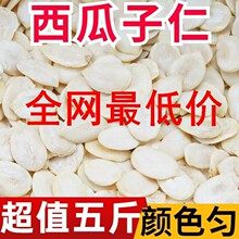 新货西瓜子仁生500g克散装商用发批面包糕点烘焙原料原味无添加