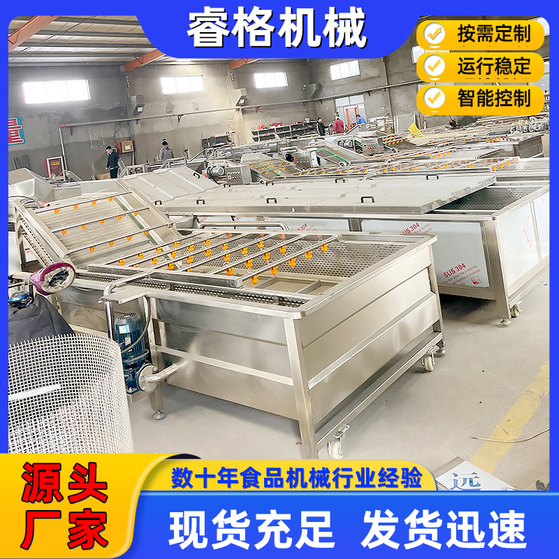 白菜菠菜清洗机 气泡式蔬菜水果清洗机 多功能果蔬清洗设备