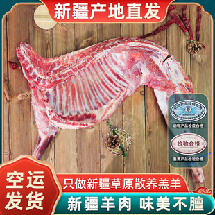 �����½������ֻ�����r�F�����ſ�ȫ�������������β��Y��10��