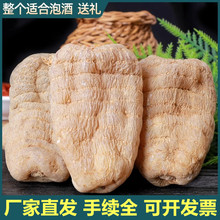 定制天麻片个产地货源天麻粉 天麻500克包邮 免费磨粉天麻 干货