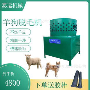 �ؾd��ɽ��Óë�C�����_������Óë�O�䰢��̩���ë�C������ë�C