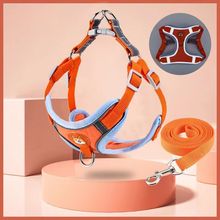 ������Ƥ���ⱳ�ı���؈�䠿���K�K�ӱ�����ȮС���޹���ӌ���