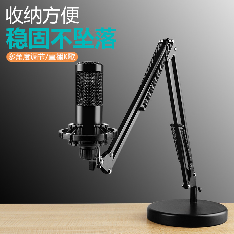 Shockproof microphone