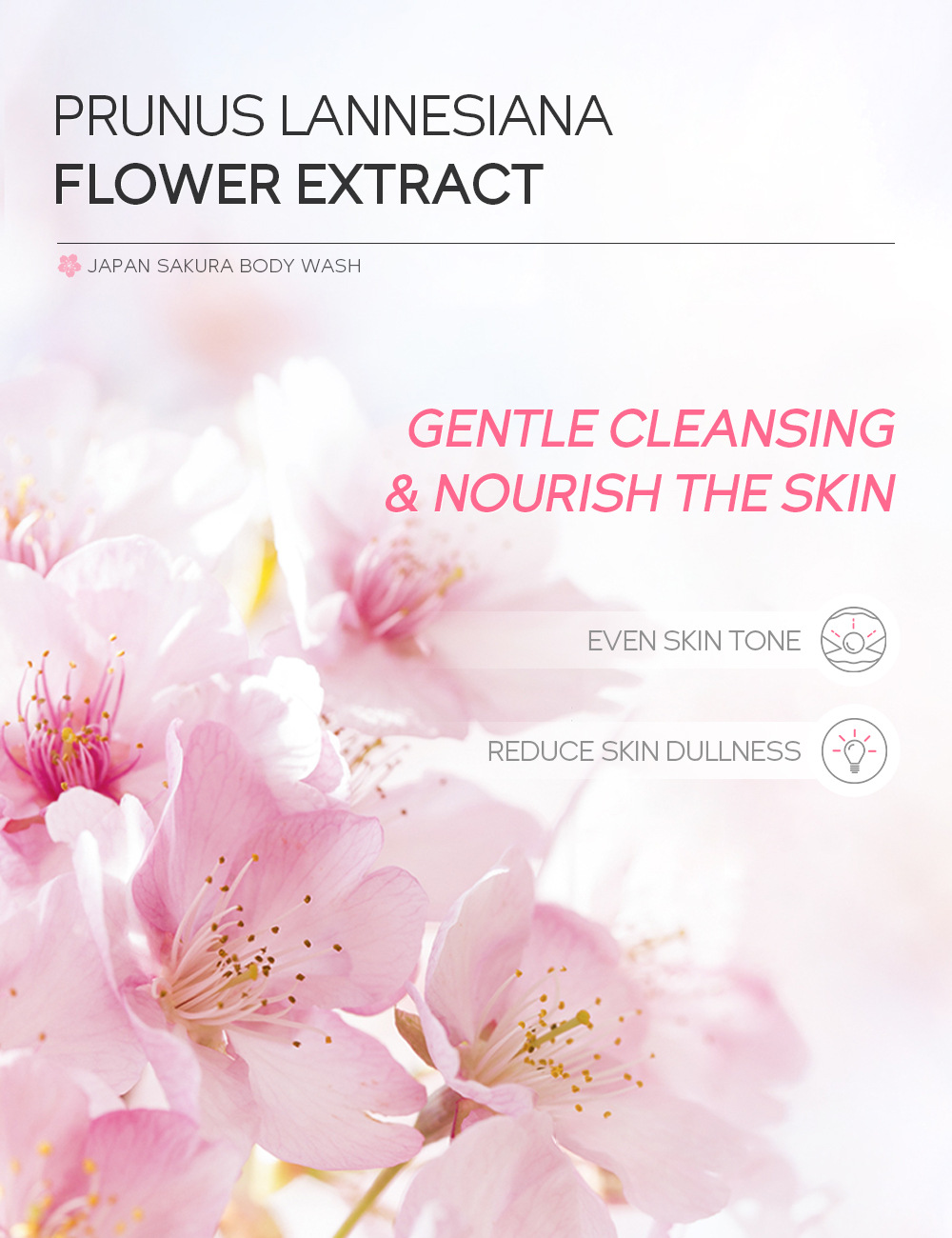 LAIKOU Japanese Cherry Blossom Body Wash 200ml for Cross-border Moisturizing, hydrating and softening Skin Cleansing in stock undefined