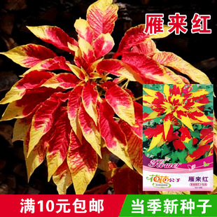 ����t�N�����p�t���~��ͥԺ�҃��̨�����ͺ��^�p���ܴ��ļ���