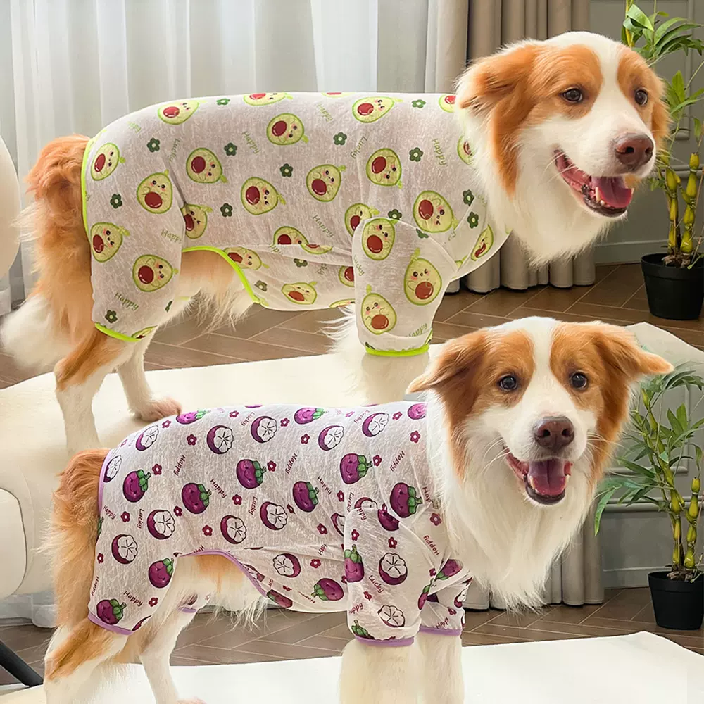 新款宠物春夏猫咪衣服狗狗四脚衣猫四腿裤子批发透气家居服用品